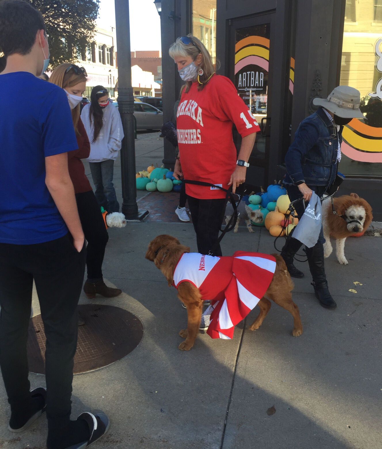 Dogs 2.jpg